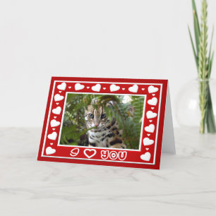 Bengal Cat Valentine Greeting Card & Note Card