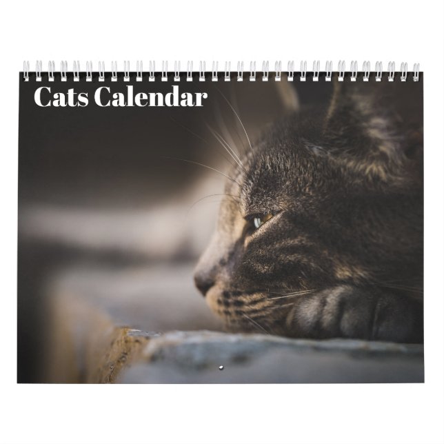 Bengal Cats 2026 Calendar (Cover)