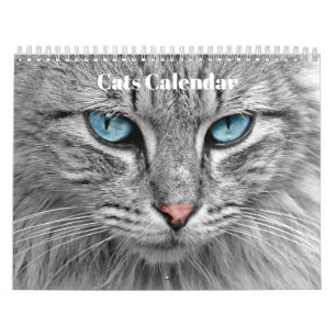 Bengal Cats 2027 Calendar