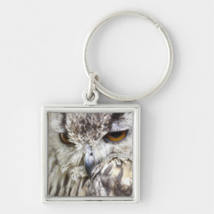 Bengal Eagle Owl Key Ring