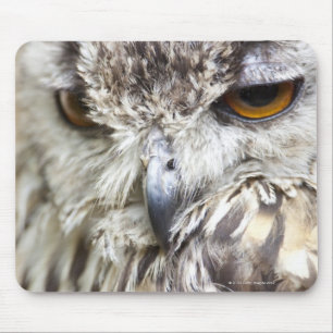 Bengal Eagle Owl Mouse Pad