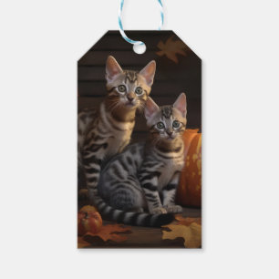 Bengal Kitten Autumn Delight Pumpkin Gift Tags