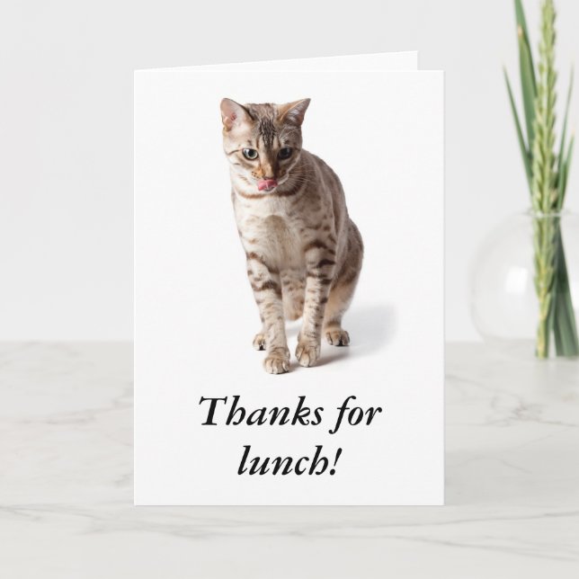 Bengal kitten says thanks for lunch thank you card (Front)