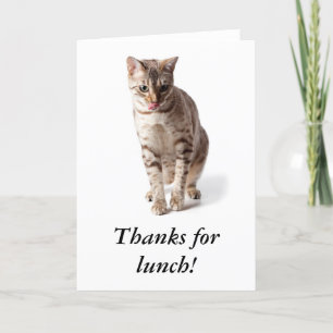 Bengal kitten says thanks for lunch thank you card