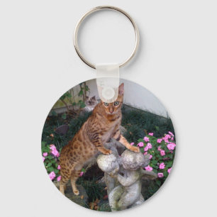 Bengal on statue key ring