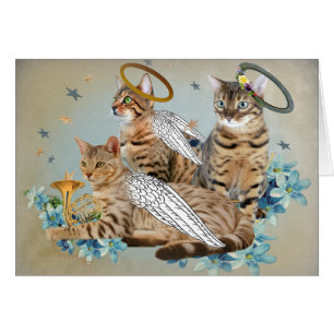 Bengal Perfect Angels cards