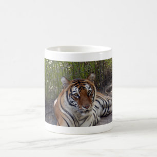 Bengal Tiger 003 Mug