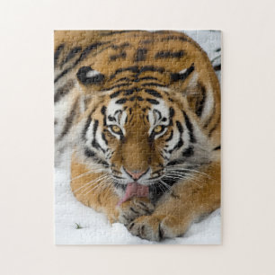 Bengal Tiger 252 piece Puzzle