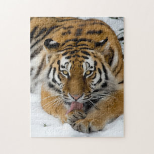 Bengal Tiger 252 piece Puzzle