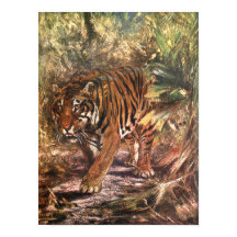 Bengal Tiger by CE Swan, Vintage Wild Animal