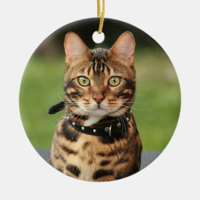 Bengal Tiger Cat Ceramic Ornament (Front)