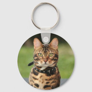 Bengal Tiger Cat Key Ring