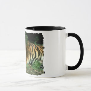 Bengal Tiger Coffee Mug
