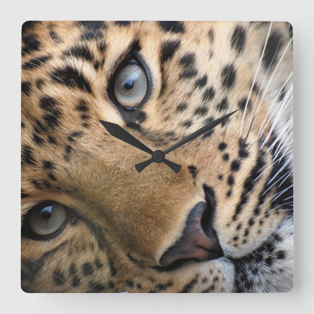Bengal Tiger Cub Clock (Front)