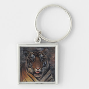 Bengal Tiger Cub Key Ring