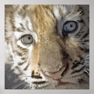 Bengal Tiger Cub Poster