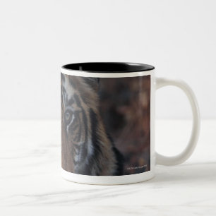 Bengal Tiger Cub Two-Tone Coffee Mug