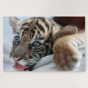 Bengal Tiger cub watching on a snow hill Jigsaw Puzzle