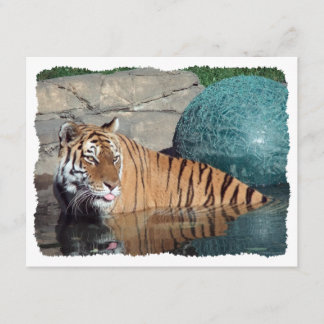 Bengal Tiger Customisable Stylised Invitation