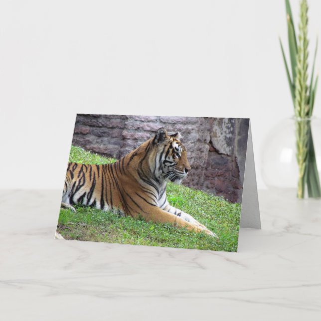 Bengal Tiger Greeting Card (Front)