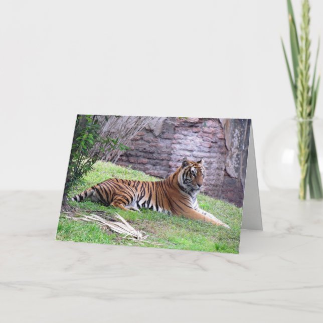 Bengal Tiger Greeting Card (9601) (Front)