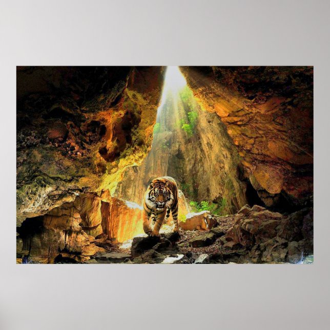 Bengal Tiger In Cave Poster (Front)