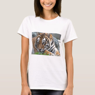 Bengal Tiger in grass T-Shirt