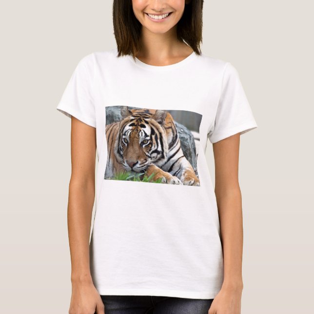 Bengal Tiger in grass T-Shirt (Front)
