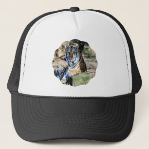 Bengal Tiger in Sunlit Meadow Trucker Hat