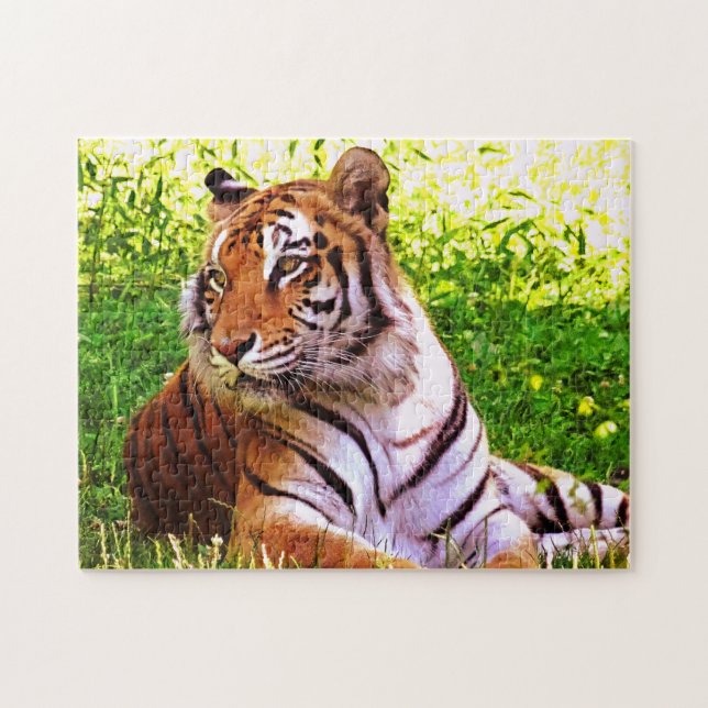 Bengal Tiger in the Grass Puzzle (Horizontal)