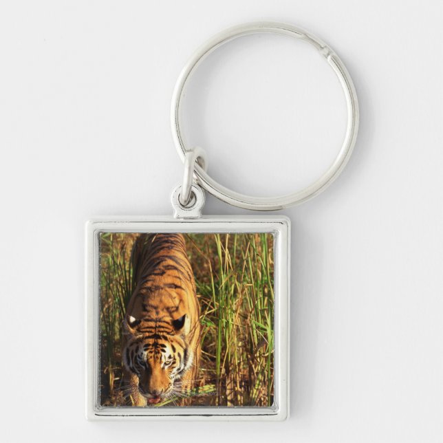 Bengal tiger in wetlands key ring (Front)