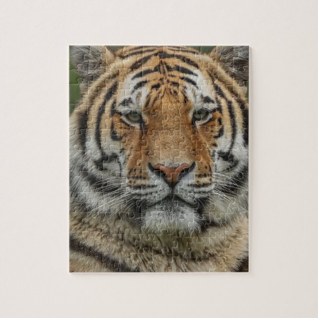 BENGAL TIGER JIGSAW PUZZLE (Vertical)