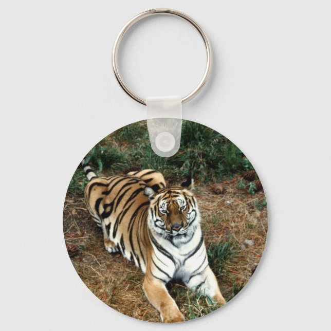 Bengal tiger key ring (Front)