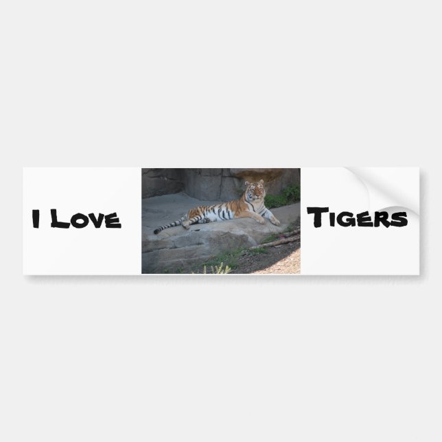 Bengal Tiger Love Bumper Sticker (Front)