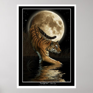 Bengal Tiger & Moon Wildlife Art Poster