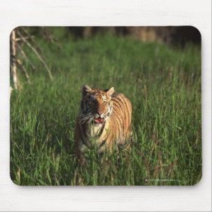 Bengal tiger mouse pad