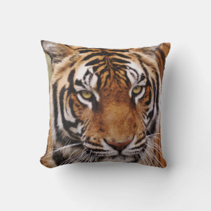 Bengal Tiger, Panthera tigris Cushion