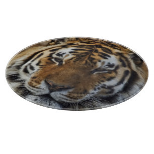 Bengal Tiger, Panthera tigris, Louisville Zoo, Cutting Board