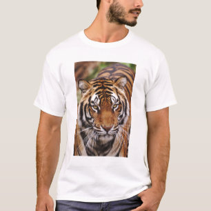 Bengal Tiger, Panthera tigris T-Shirt