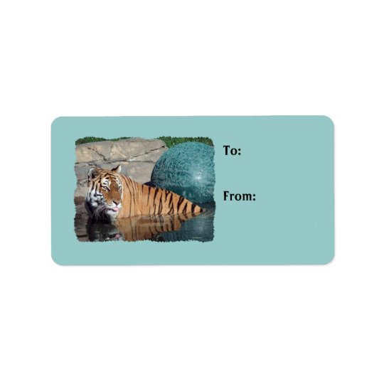 Bengal Tiger Photo Light Blue Gift Tags Address Label
