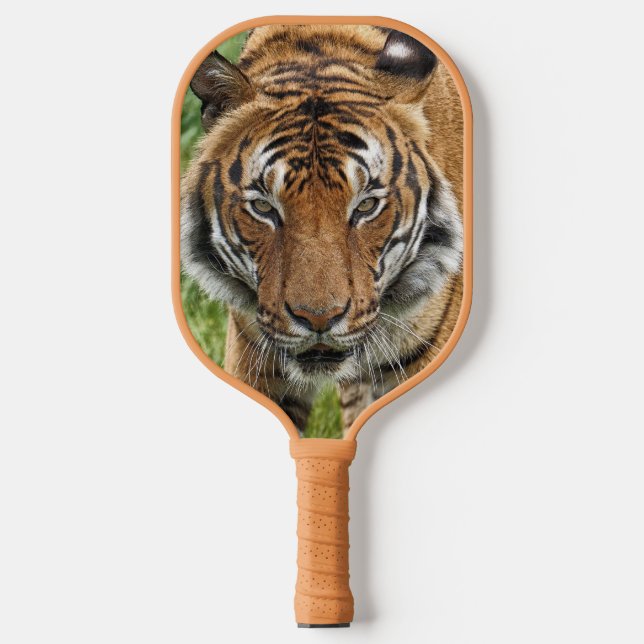 BENGAL TIGER PICKLEBALL PADDLE (Front)
