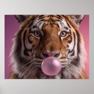 Bengal Tiger Portrait Blowing Pink Bubblegum Poster