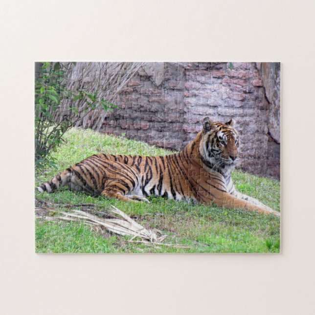 Bengal Tiger Puzzle (Horizontal)