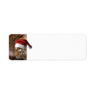 Bengal Tiger Santa Claus Return Address Label