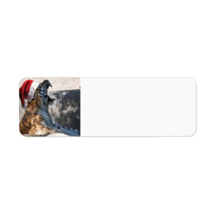 Bengal Tiger Santa Claus Return Address Label