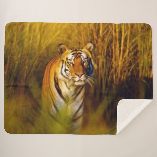 BENGAL TIGER SHERPA BLANKET (Front (Horizontal))