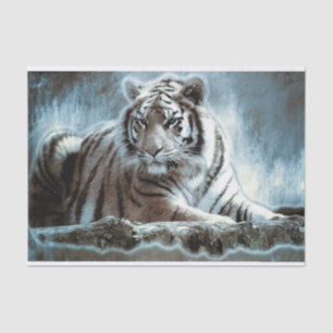 Bengal Tiger Tissue Paper
