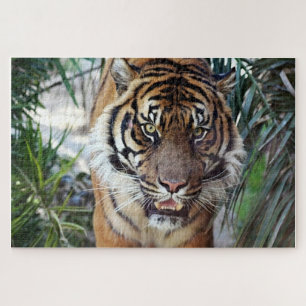 Bengal Tiger watching you Jigsaw Puzzle