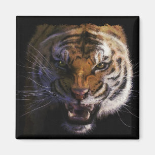 Bengal Tiger Wildlife Big Cat Lover Photo Magnet
