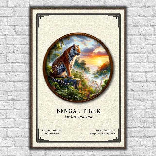 Bengal Tiger Zoology Series Poster (Creator Uploaded)